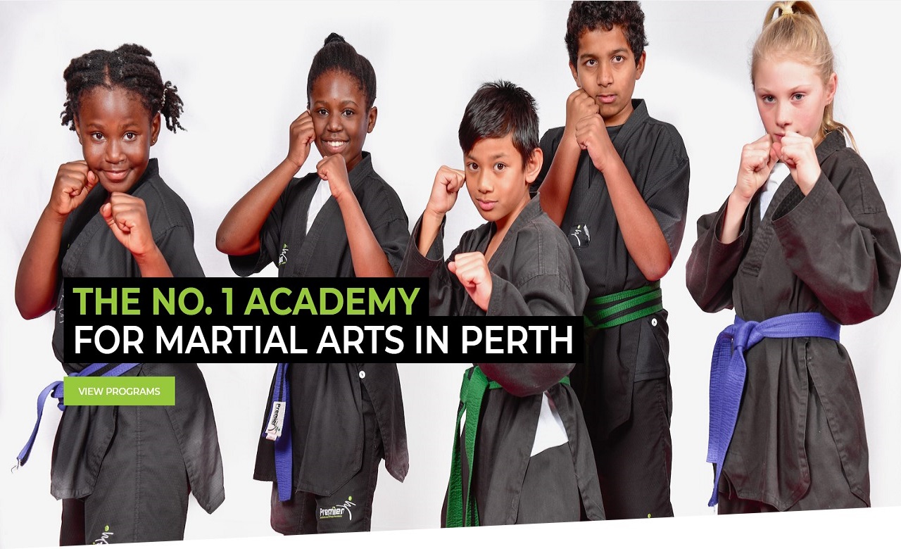 Premier Martial Arts and Fitness Academy